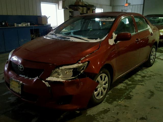 1NXBU4EE2AZ204751 - 2010 TOYOTA COROLLA BA RED photo 2