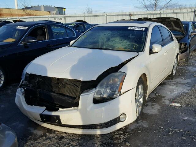 1N4BA41E84C886201 - 2004 NISSAN MAXIMA SE WHITE photo 2