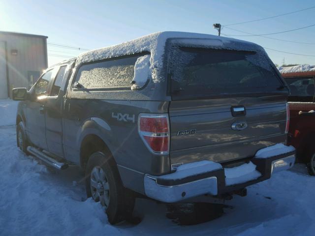 1FTFX1ET6DFC75504 - 2013 FORD F150 SUPER GRAY photo 3