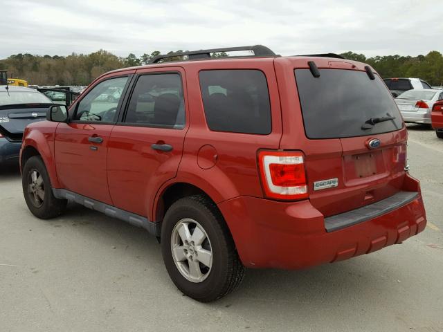 1FMCU0D72BKA83264 - 2011 FORD ESCAPE XLT RED photo 3