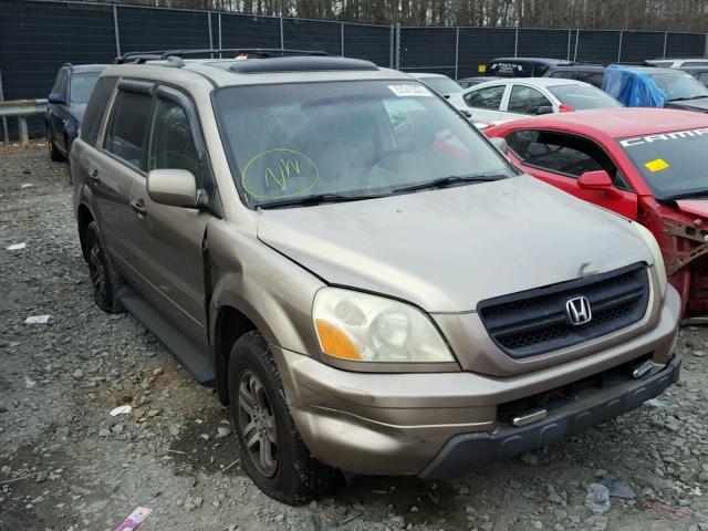 2HKYF18513H584584 - 2003 HONDA PILOT EXL GOLD photo 1