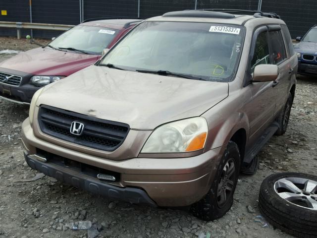 2HKYF18513H584584 - 2003 HONDA PILOT EXL GOLD photo 2