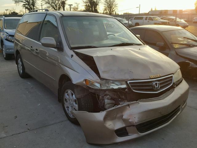 5FNRL18824B147085 - 2004 HONDA ODYSSEY EX GOLD photo 1