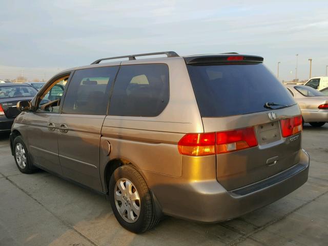 5FNRL18824B147085 - 2004 HONDA ODYSSEY EX GOLD photo 3