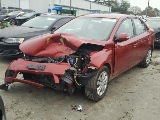 KNAFU4A27A5050854 - 2010 KIA FORTE EX RED photo 2