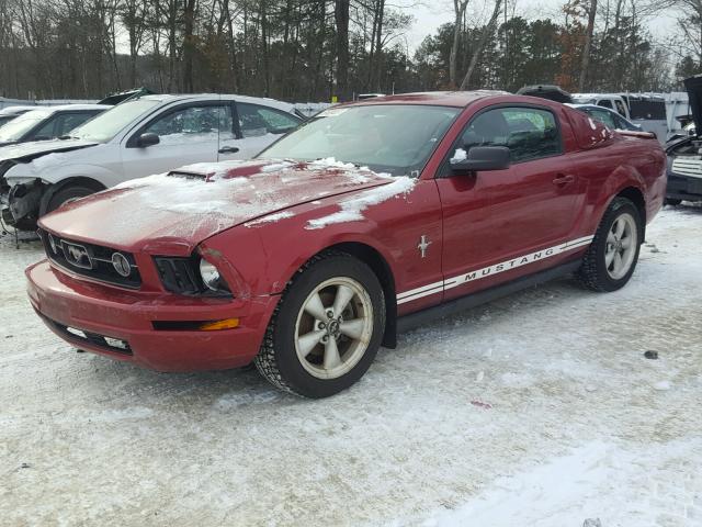1ZVFT80N375370784 - 2007 FORD MUSTANG RED photo 2