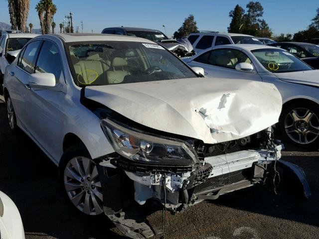 1HGCR3F83EA026791 - 2014 HONDA ACCORD EXL WHITE photo 1