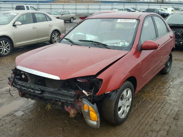 KNAFE222195652841 - 2009 KIA SPECTRA EX RED photo 2