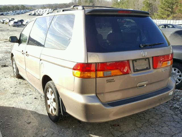 5FNRL18603B057723 - 2003 HONDA ODYSSEY EX TAN photo 3