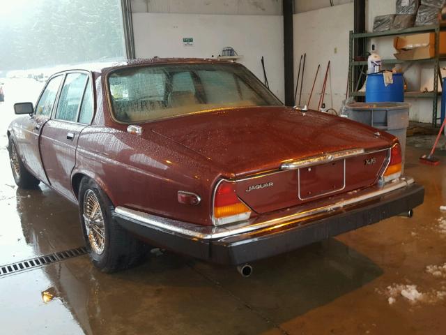 SAJAV1349FC420133 - 1985 JAGUAR XJ6 BURGUNDY photo 3