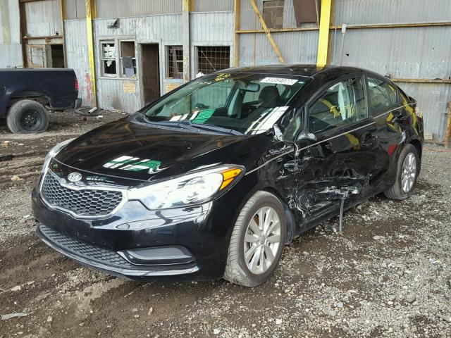 KNAFX4A62E5186681 - 2014 KIA FORTE LX BLACK photo 2