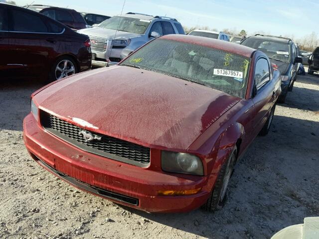 1ZVFT80N565152750 - 2006 FORD MUSTANG RED photo 2