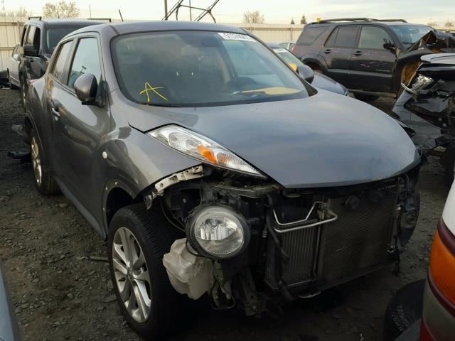 JN8AF5MR4DT205810 - 2013 NISSAN JUKE S GRAY photo 1