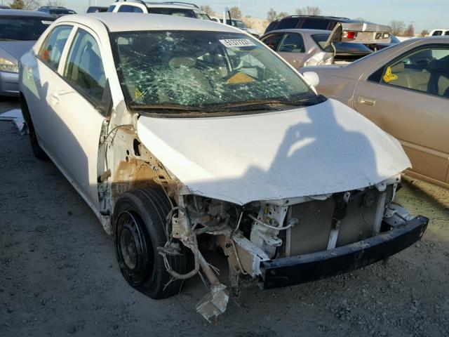 1NXBU4EE7AZ209279 - 2010 TOYOTA COROLLA BA WHITE photo 1