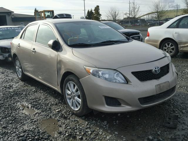 1NXBU40E19Z103199 - 2009 TOYOTA COROLLA BA TAN photo 1