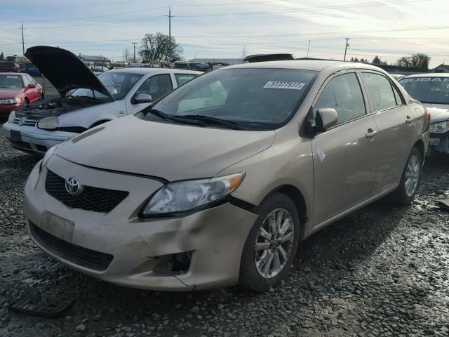 1NXBU40E19Z103199 - 2009 TOYOTA COROLLA BA TAN photo 2