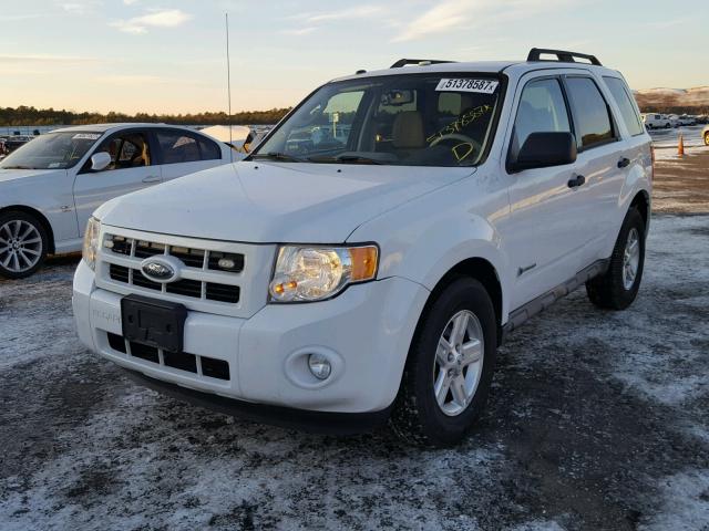 1FMCU59339KC41415 - 2009 FORD ESCAPE HYB WHITE photo 2