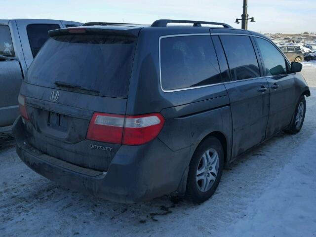 5FNRL38655B506134 - 2005 HONDA ODYSSEY EX GRAY photo 4