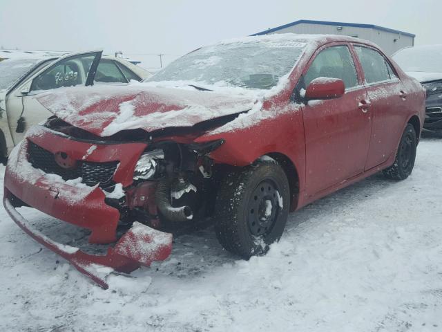 1NXBU40E59Z102248 - 2009 TOYOTA COROLLA BA RED photo 2