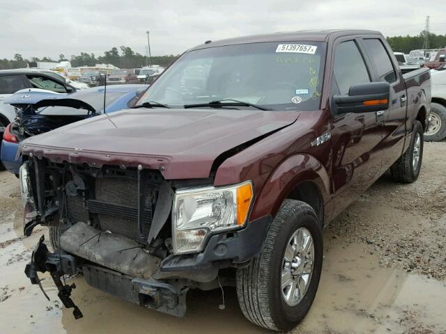 1FTEW1C89AKA49036 - 2010 FORD F150 SUPER MAROON photo 2