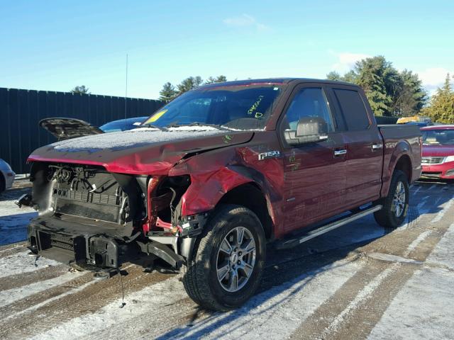 1FTEW1EG7GFD35716 - 2016 FORD F150 SUPER RED photo 2