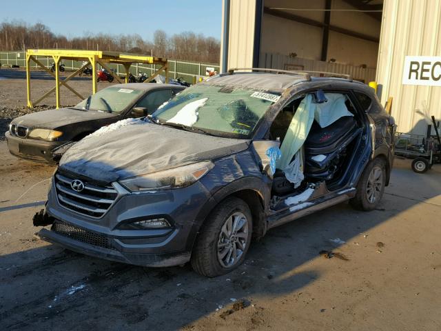 KM8J3CA43HU397802 - 2017 HYUNDAI TUCSON LIM GRAY photo 2