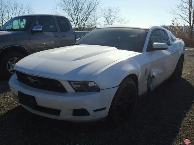 1ZVBP8AM6B5135779 - 2011 FORD MUSTANG WHITE photo 2