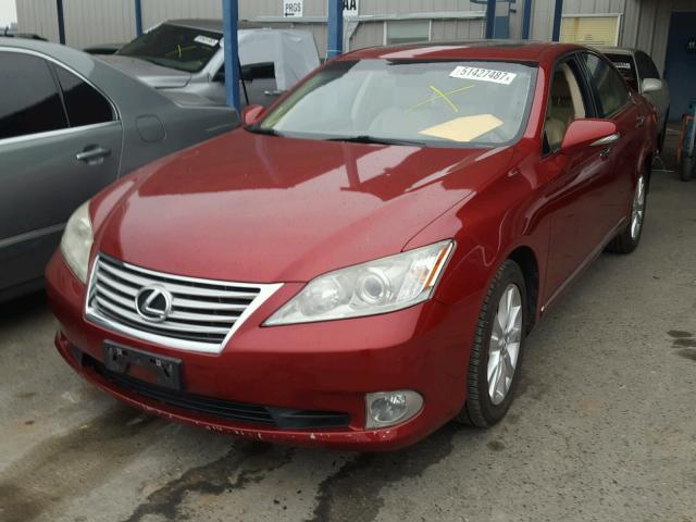 JTHBK1EG9B2418352 - 2011 LEXUS ES 350 RED photo 2