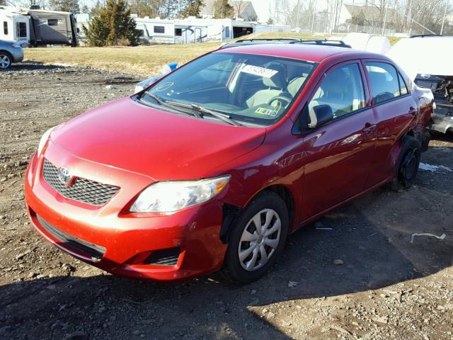 2T1BU40E89C005286 - 2009 TOYOTA COROLLA BA RED photo 2