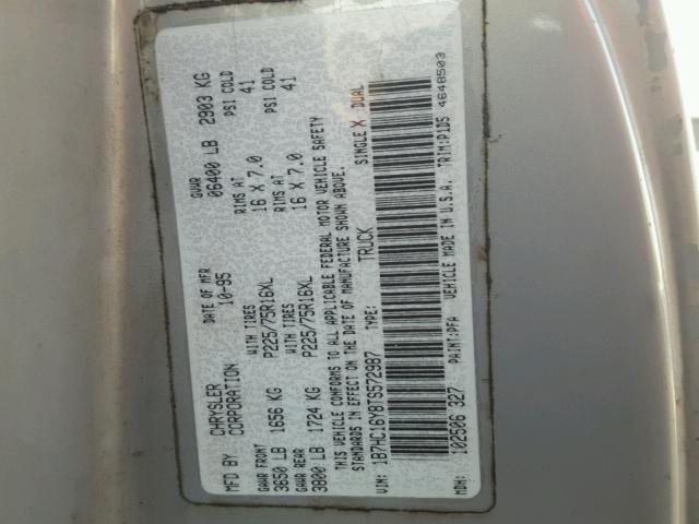 1B7HC16Y8TS572987 - 1996 DODGE RAM 1500 SILVER photo 10