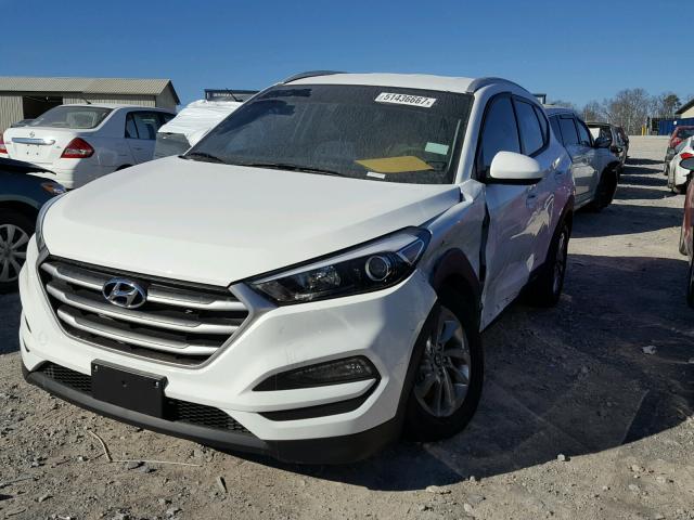 KM8J33A45HU452198 - 2017 HYUNDAI TUCSON LIM WHITE photo 2