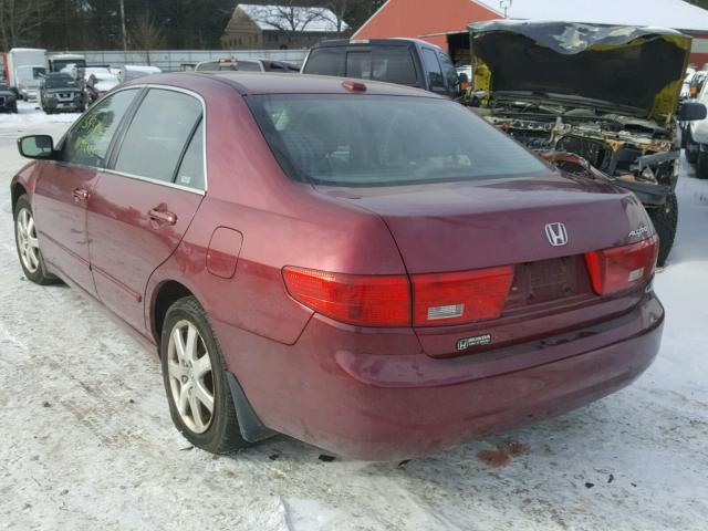 1HGCM66505A050231 - 2005 HONDA ACCORD EX RED photo 3