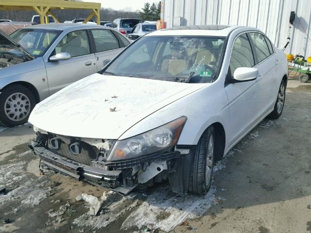 JHMCP26739C009987 - 2009 HONDA ACCORD EX WHITE photo 2