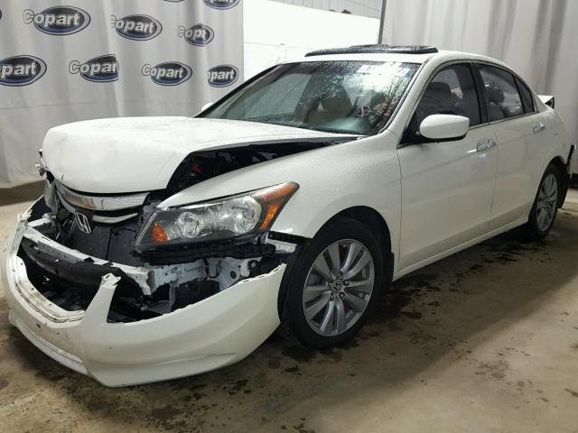 5KBCP3F89BB003332 - 2011 HONDA ACCORD EXL WHITE photo 2