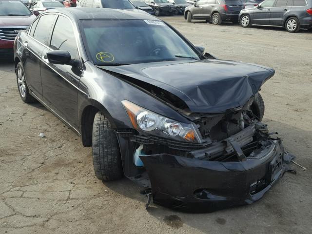 1HGCP36828A071568 - 2008 HONDA ACCORD EXL BLACK photo 1