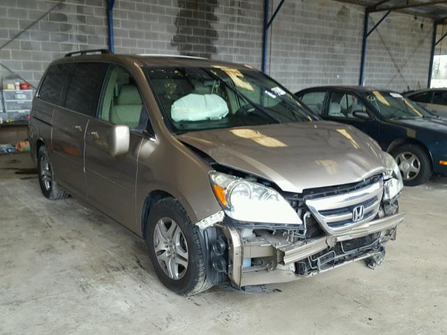 5FNRL38745B099562 - 2005 HONDA ODYSSEY EX GOLD photo 1