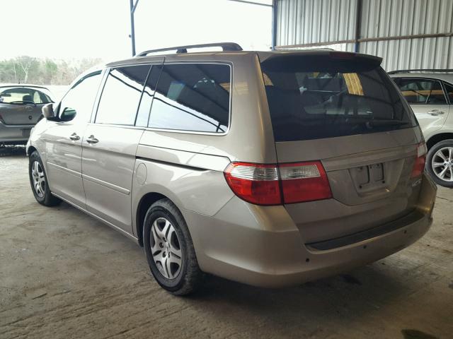 5FNRL38745B099562 - 2005 HONDA ODYSSEY EX GOLD photo 3