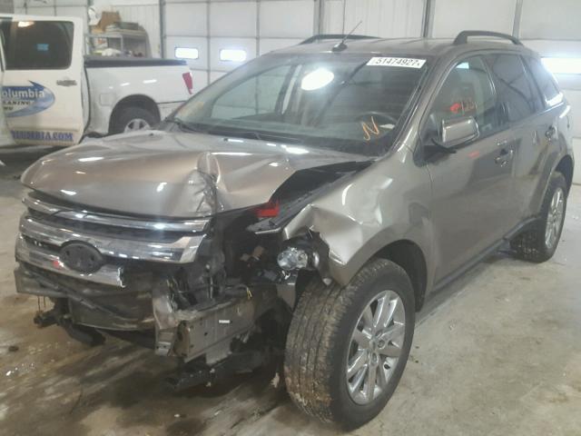 2FMDK3JC0DBA74136 - 2013 FORD EDGE SEL GOLD photo 2