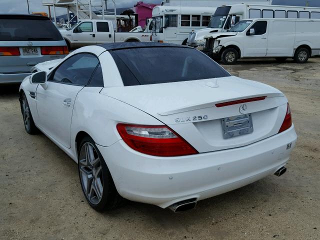 WDDPK4HA2EF083910 - 2014 MERCEDES-BENZ SLK 250 WHITE photo 3