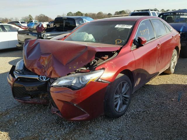 4T1BF1FK6GU594436 - 2016 TOYOTA CAMRY LE RED photo 2