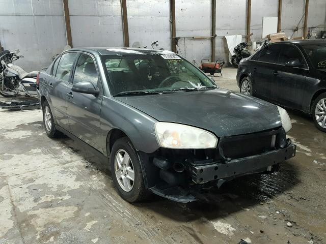 1G1ZT54825F287253 - 2005 CHEVROLET MALIBU LS GRAY photo 1