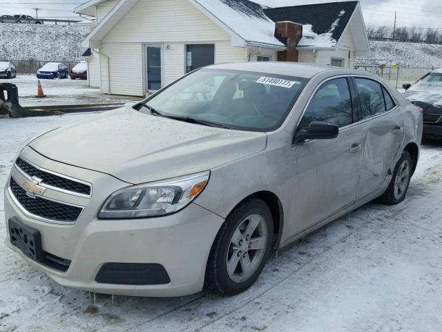 1G11B5SA7DF141922 - 2013 CHEVROLET MALIBU LS TAN photo 2