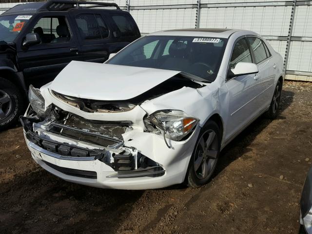 1G1ZC5E16BF250882 - 2011 CHEVROLET MALIBU 1LT 白色 照片 2
