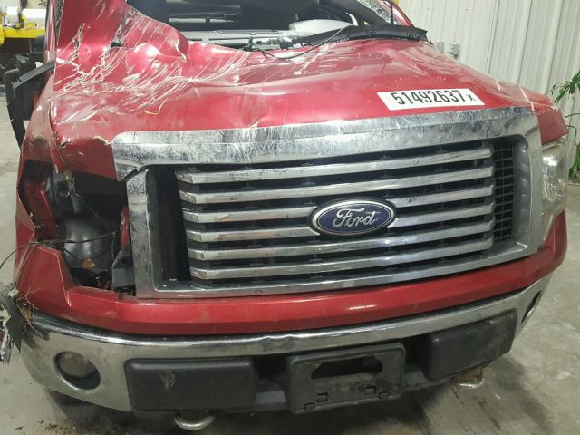 1FTFX1EV8AKA17974 - 2010 FORD F150 SUPER RED photo 7