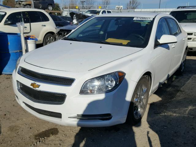 1G1ZC5EB7AF177304 - 2010 CHEVROLET MALIBU 1LT 白色 照片 2