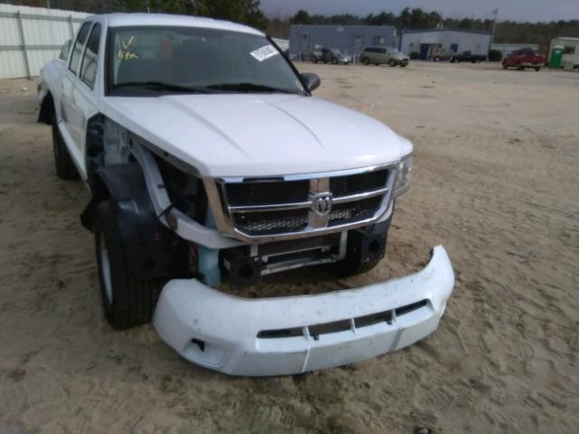 1D7CE2GK4AS125645 - 2010 DODGE DAKOTA ST WHITE photo 9