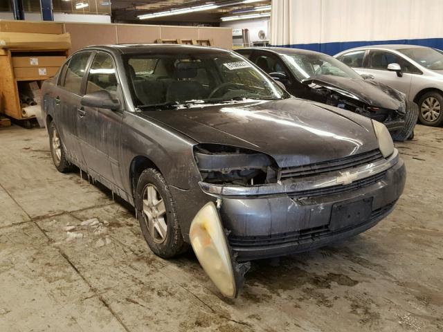 1G1ZT54885F249946 - 2005 CHEVROLET MALIBU LS GRAY photo 1