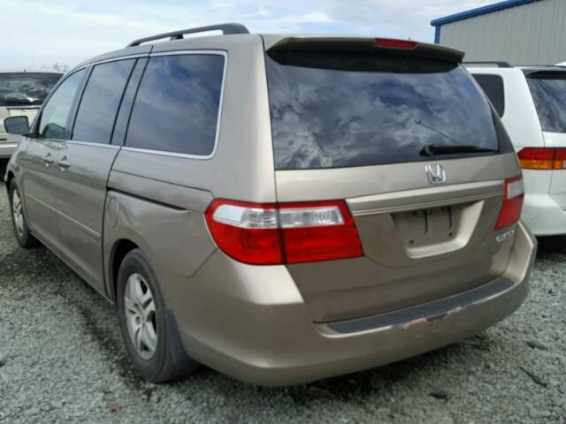 5FNRL38735B065709 - 2005 HONDA ODYSSEY EX GOLD photo 3