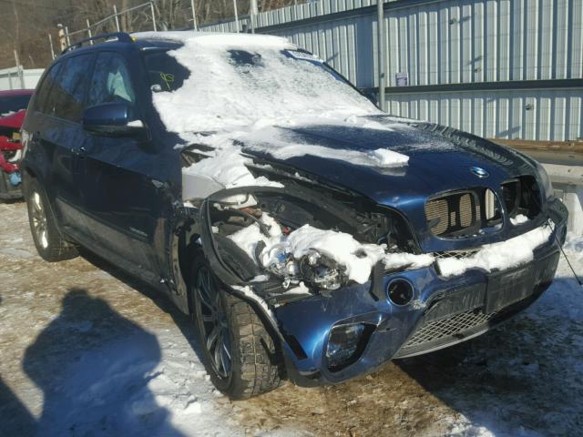 5UXZW0C52BL371075 - 2011 BMW X5 XDRIVE3 BLUE photo 1