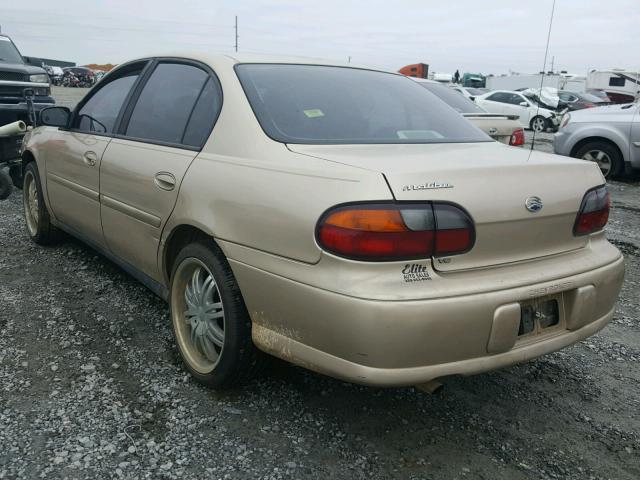 1G1ND52J62M564012 - 2002 CHEVROLET MALIBU GOLD photo 3